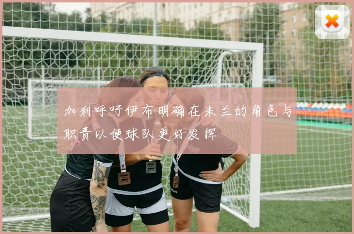 加利呼吁伊布明确在米兰的角色与职责以便球队更好发挥
